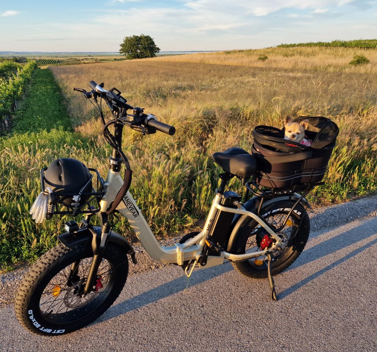 HANEVEAR H6-S Folding Electric Bike for Adults